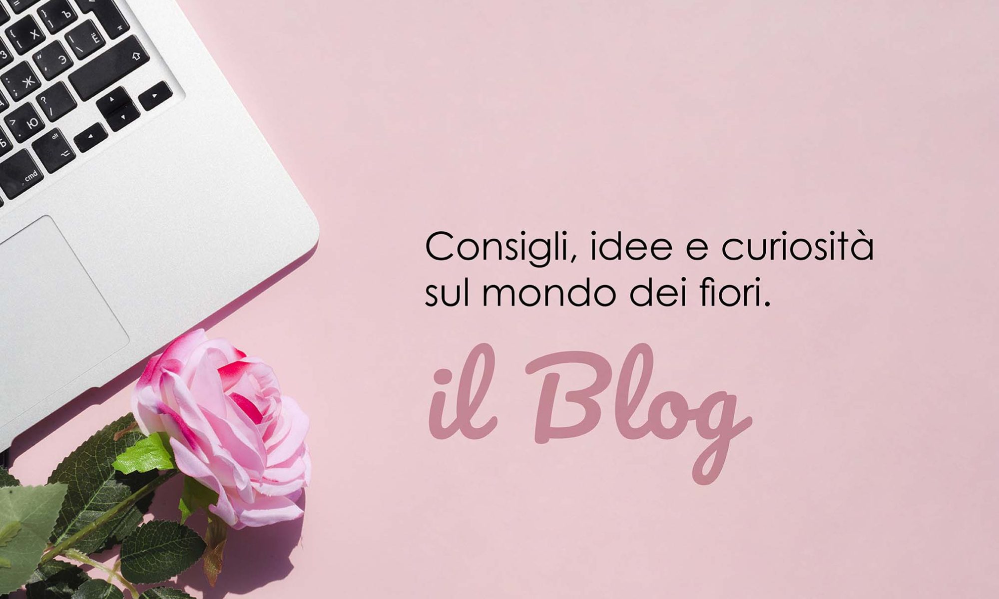 Blog