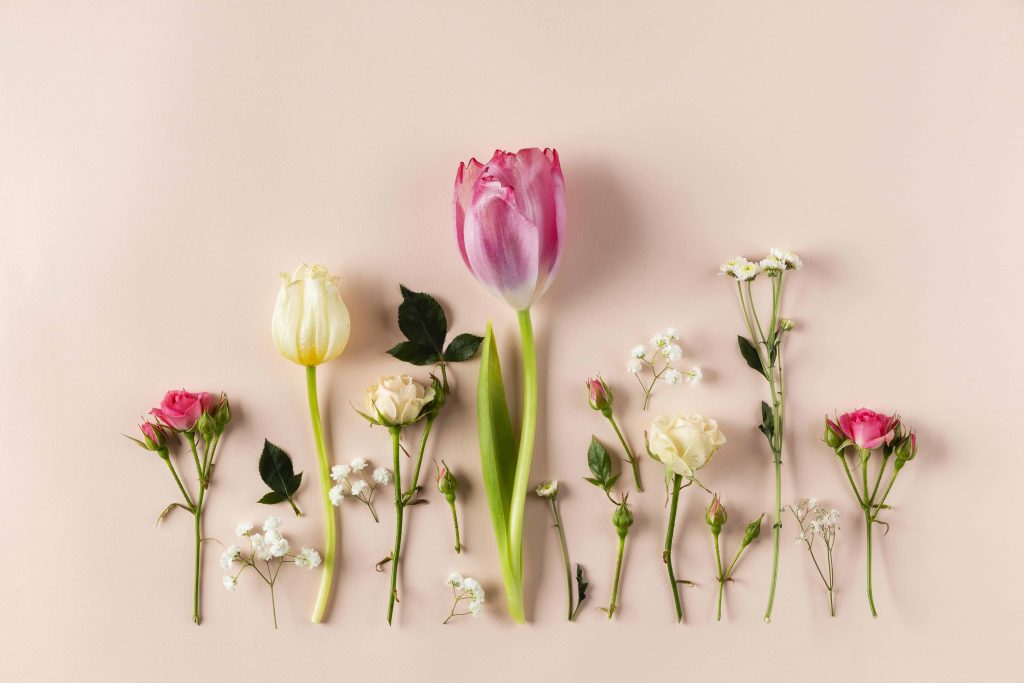 il significato dei fiori foto 1